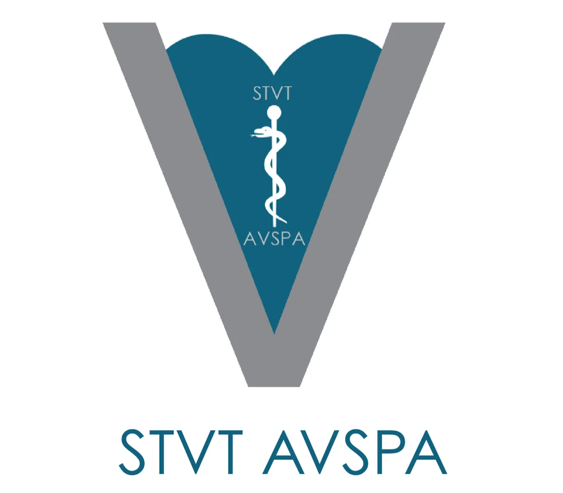 Logo STVT