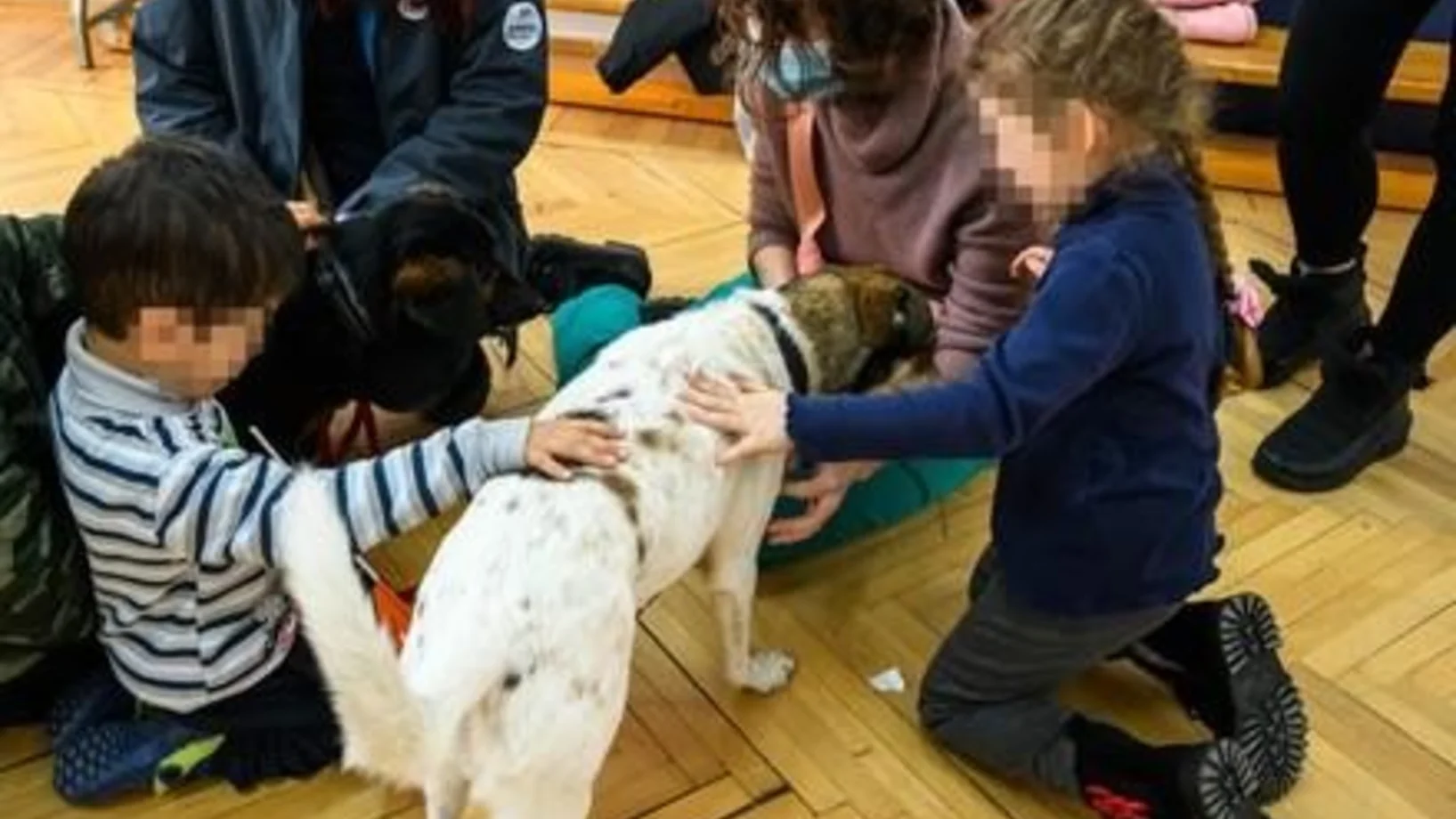 Kinder mit Hunden in Rumänien